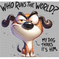 Animal Text Series-AT 1994